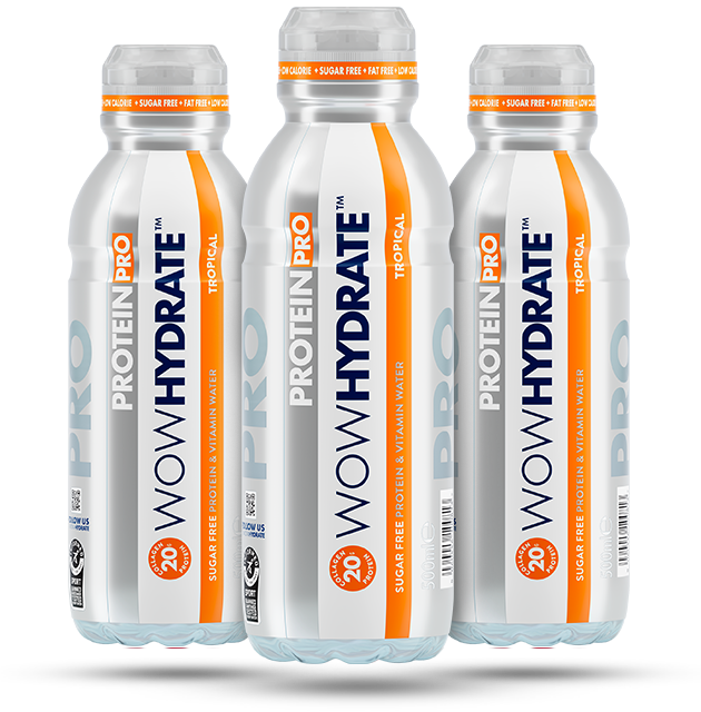 WOW HYDRATE PROTEIN PRO 12X500ML