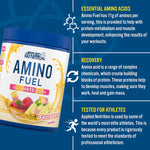 APPLIED NUTRITION AMINO FUEL 390G