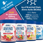 APPLIED NUTRITION AMINO FUEL 390G