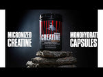 ANIMAL CREATINE POWDER 500G