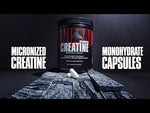 ANIMAL CREATINE 300CAPS