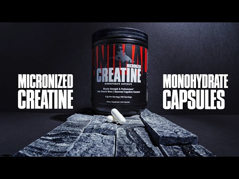 ANIMAL CREATINE 300CAPS